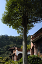 dsc_0240_v.jpg
