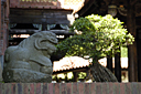 dsc_0241.jpg