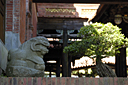 dsc_0242.jpg