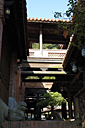 dsc_0243_v.jpg