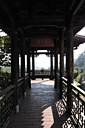 dsc_0250_v.jpg