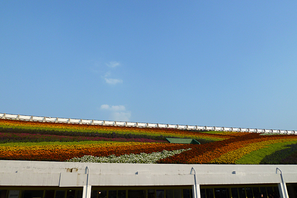 p1050972.jpg