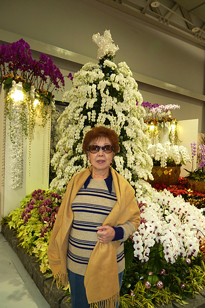 p1050987_v.jpg