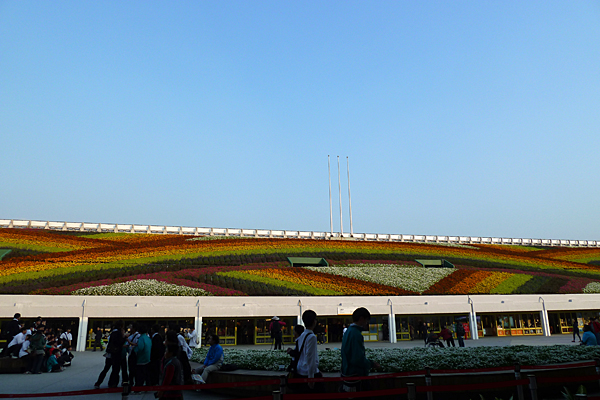 p1050999.jpg