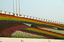 p1050974.jpg