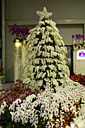 p1050985_v.jpg