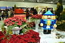 p1050995.jpg