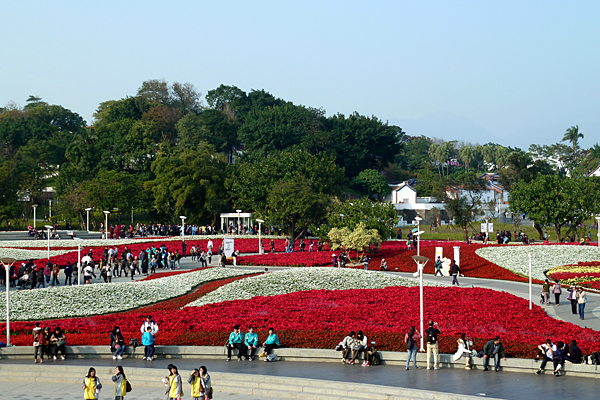 p1050913.jpg