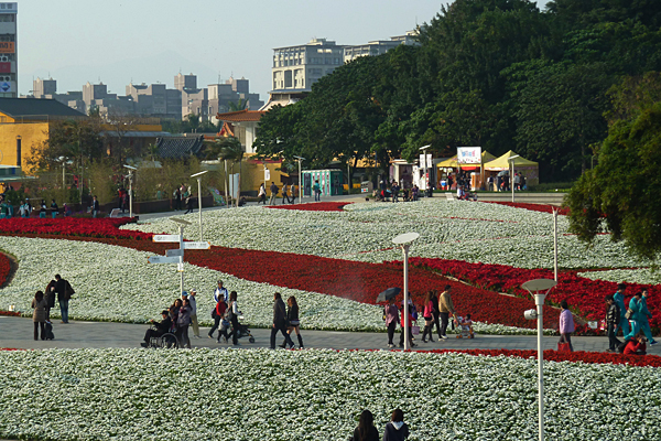 p1050915.jpg