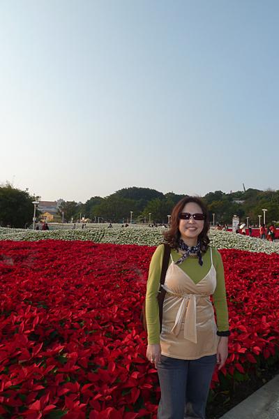p1050936_v.jpg