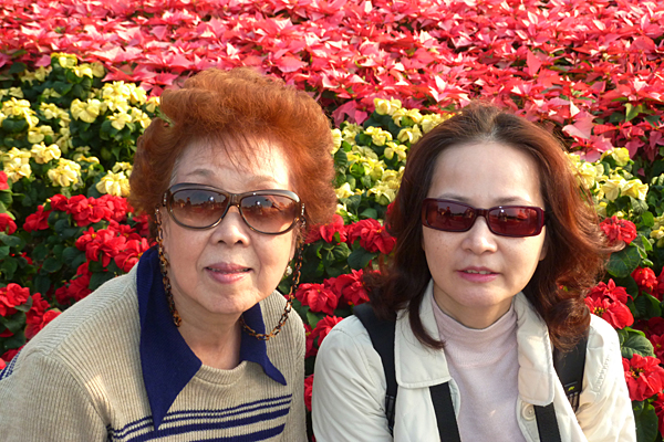 p1050943.jpg