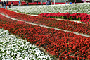 p1050904.jpg