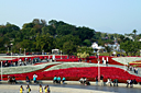p1050913.jpg