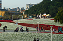 p1050915.jpg