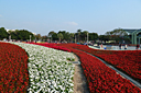 p1050921.jpg