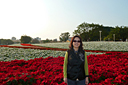 p1050923.jpg