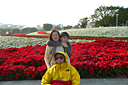 p1050928.jpg