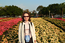 p1050941.jpg