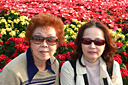 p1050943.jpg