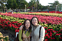p1050944.jpg