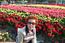 p1050945.jpg