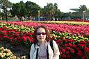 p1050946.jpg