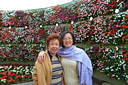 p1050968.jpg