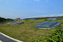 p1050838.jpg