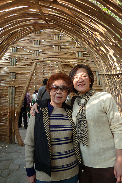 p1050882_v.jpg