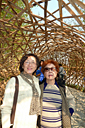 p1050880_v.jpg