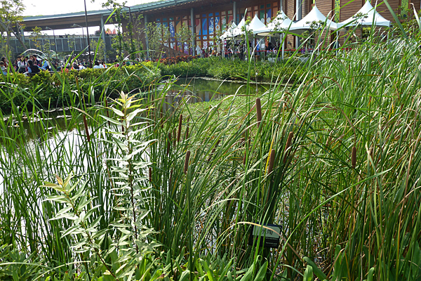 p1050839.jpg