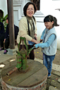 p1050847_v.jpg