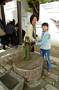 p1050848_v.jpg