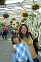 p1050853_v.jpg