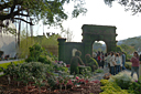 p1050916.jpg