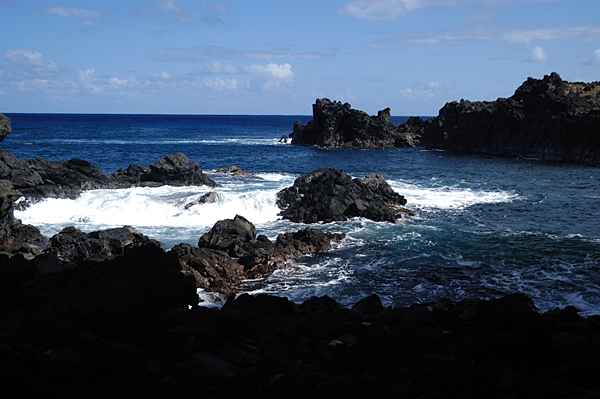 176_DSC_1660.jpg