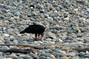 100_p1080274.jpg