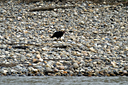102_dsc_1909.jpg