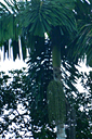 059_p1080566_v.jpg