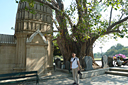 373_p1180587.jpg