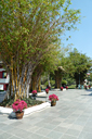 444_p1180639_v.jpg