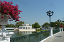 466_p1180655.jpg