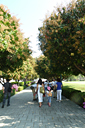 386_p1180596_v.jpg