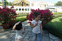 460_p1180651.jpg