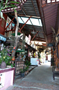 488_p1180665_v.jpg