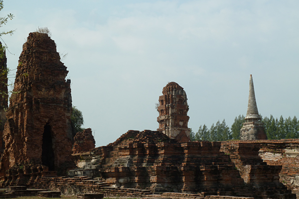 506_p1180677.jpg