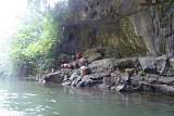 0777_p1250557_800.jpg