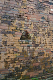 1281_p1250925_800_v.jpg