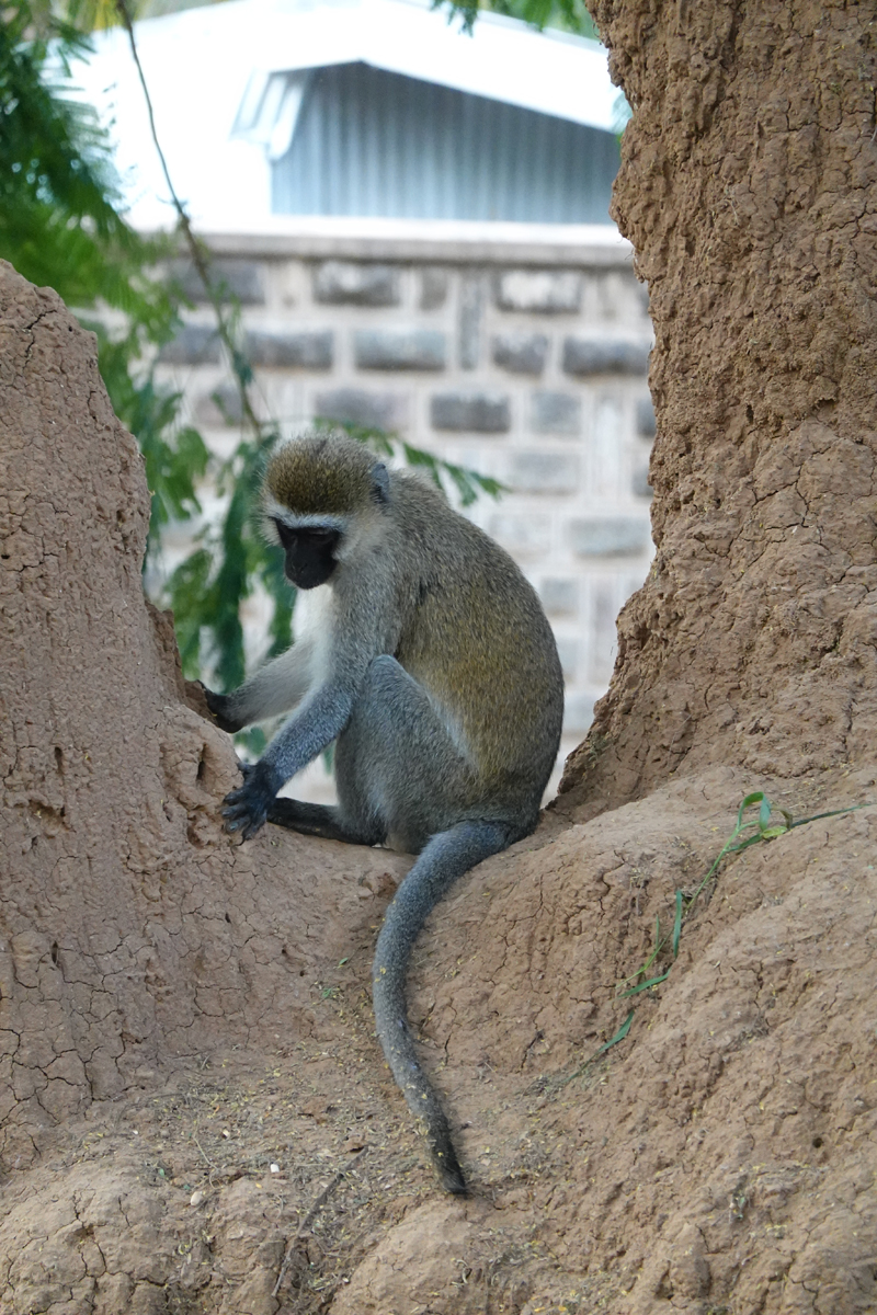 107_dsc00177_1200_v.jpg