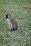 106_dsc00172_1200_v.jpg